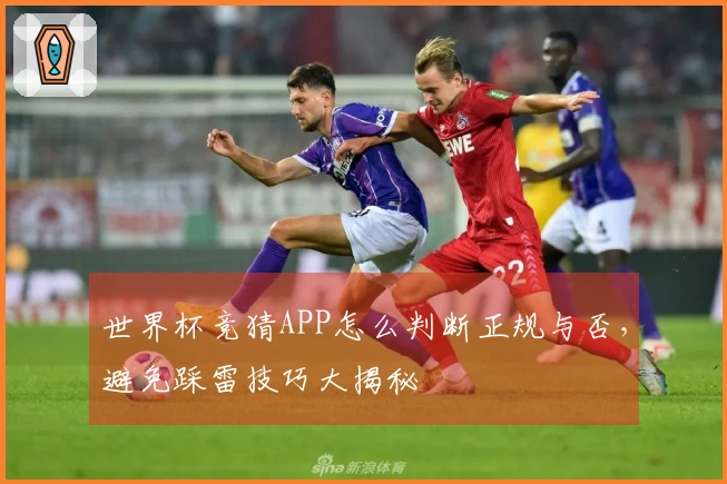 世界杯竞猜APP怎么判断正规与否，避免踩雷技巧大揭秘