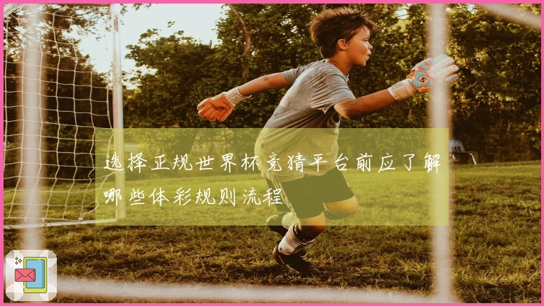 选择正规世界杯竞猜平台前应了解哪些体彩规则流程