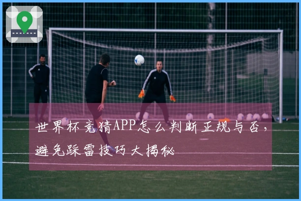世界杯竞猜APP怎么判断正规与否，避免踩雷技巧大揭秘