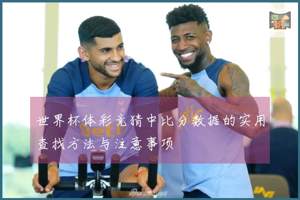 世界杯体彩竞猜中比分数据的实用查找方法与注意事项